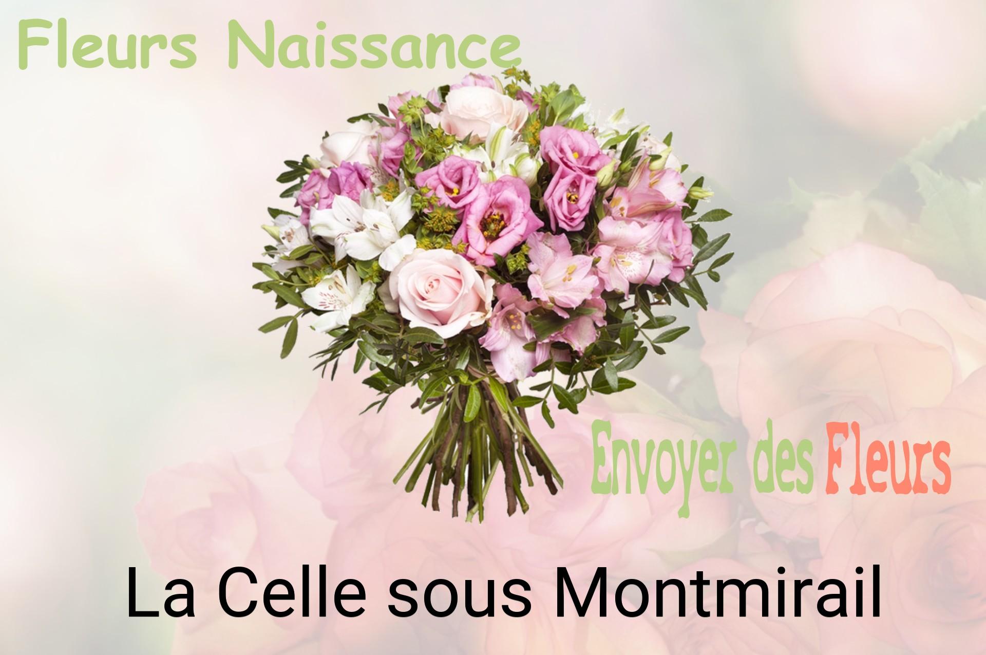 Bouquet de fleurs de naissance livré à La Celle-sous-Montmirail